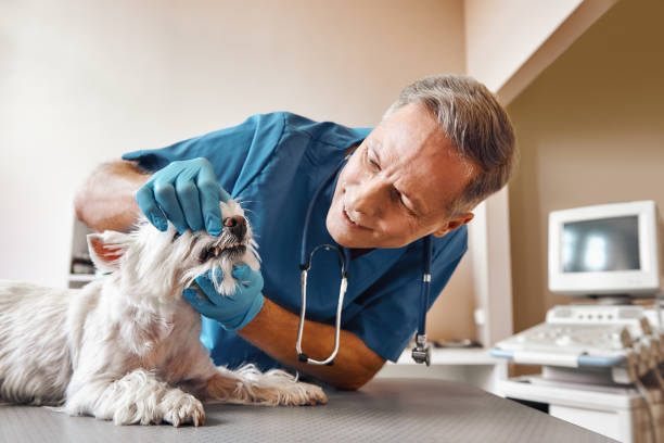 Best Emergency Tooth Extraction  in Pasadena, CA